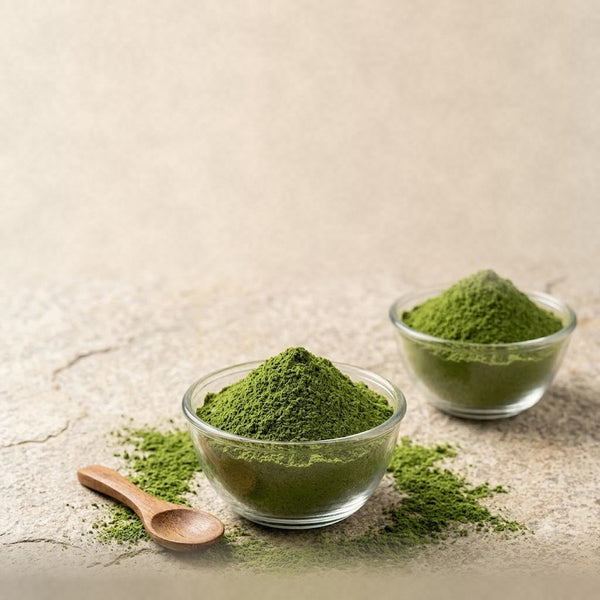 Nature Delights moringa leaf powder in two glass bowls with a wooden spoon on a stone surface